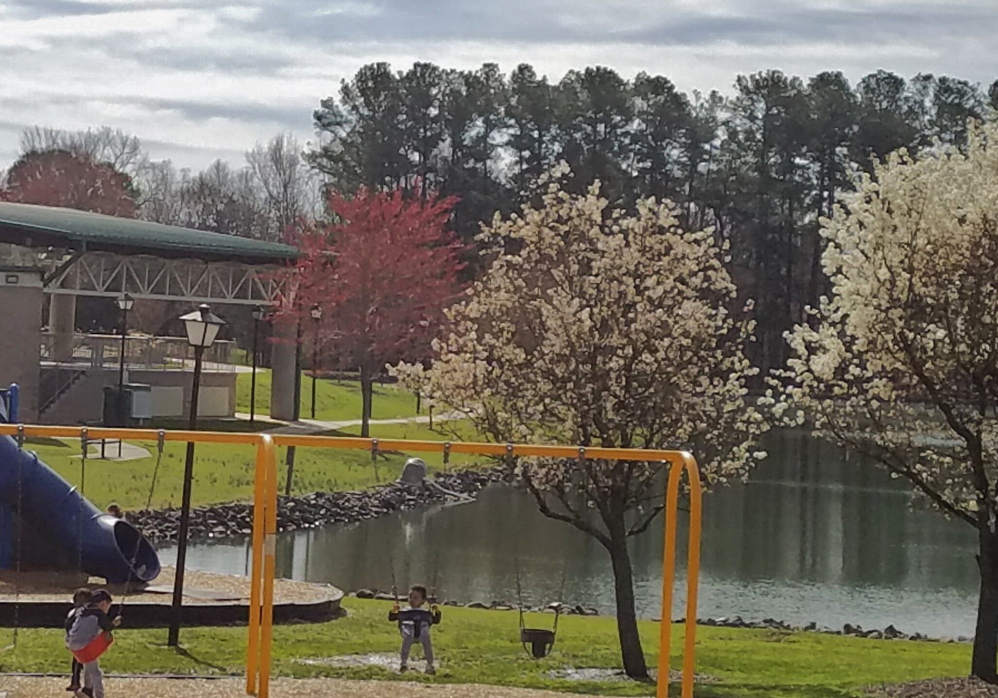 Community cropped edited Belle Johnson - Pineville
